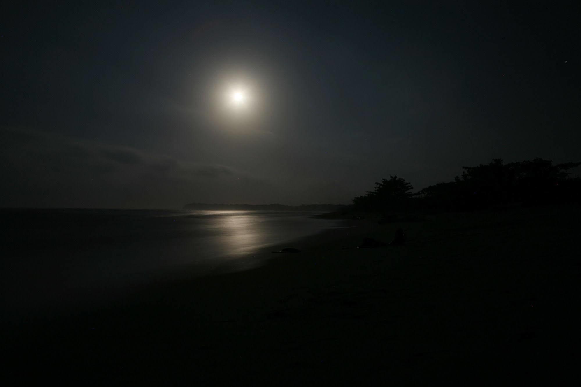 Playa Koralia 호텔 산타마르타 외부 사진